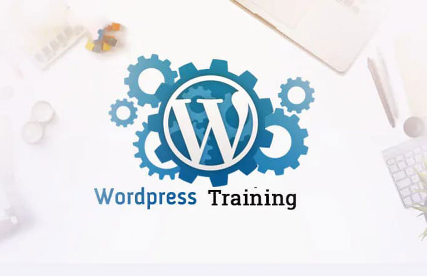 سئوکار باید کدنویسی بلد باشه؟ پاسخ جامع و دقیق به این سوال 10 یادگیری سئو